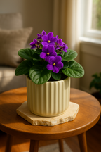Honeydew Ceramic Planter