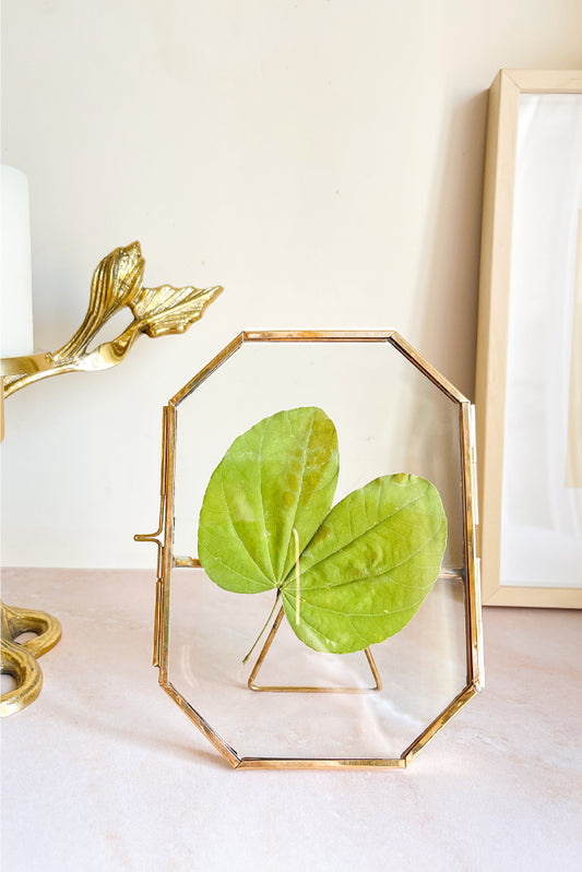 Octagonal Brass Photo Frame