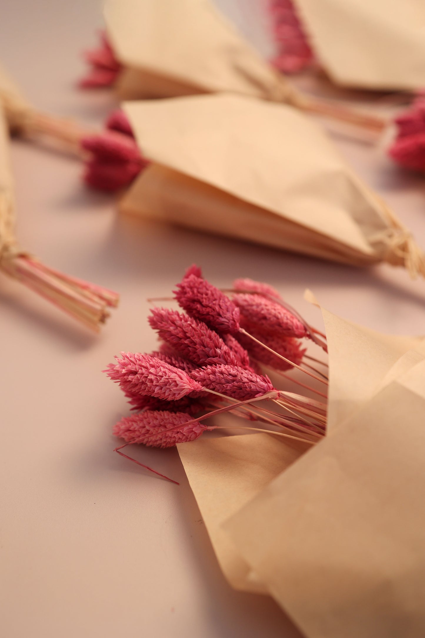 Phalaris Dried Flower Bunch