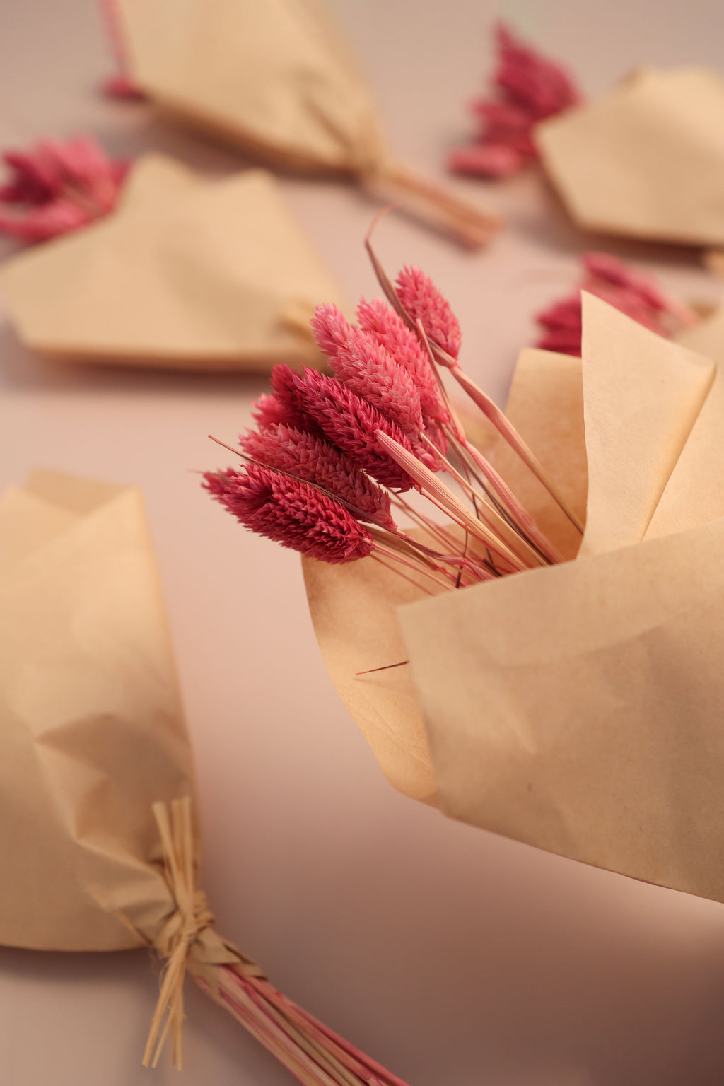 Phalaris Dried Flower Bunch