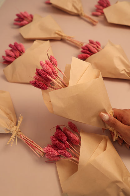 Phalaris Dried Flower Bunch